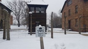#225 Аушвиц-Биркенау концентрационный лагерь в Освенциме. Польша.