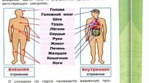 Окружающий мир. Рабочая тетрадь 2 класс 2 часть. ГДЗ стр. 3 №1