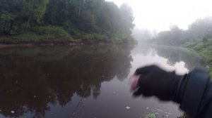 Береговая Рыбалка со СПИННИНГОМ на красивой реке! ЛЕТОМ поисках ХИЩНИКА!!! 5 видов рыбы на спиннинг