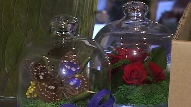 Совет. Картина из мха и зелени
