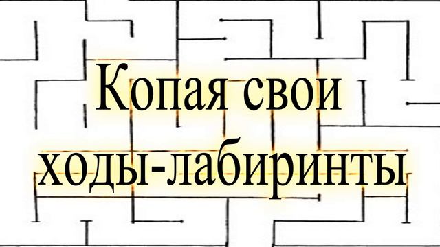 Человек Мир. Задачи и головоломки N 2 смотреть онлайн