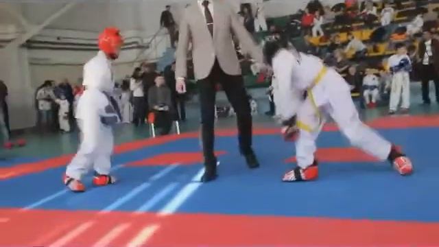 Соревнования Тхэквондо Торнадо 21-22 марта 2015 г. (MVI 1391) смотреть онлайн