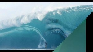 Real Photos Footage Of Megalodon Shark