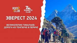 Эверест 2024. Великолепие Гималаев: Дорога из Тенгбоче в Периче