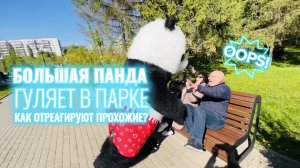Смешной пранк: Большая панда в красных труселях гуляет 9 мая в Парке Победы Белгорода. Реакция людей