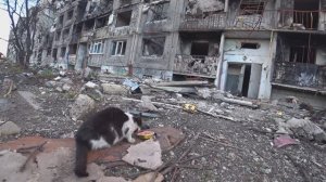 Добровольцы. Начало. Первая поездка за ленточку 2022 год