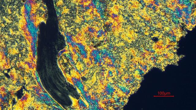 Микроскопы Olympus серии BX смотреть онлайн