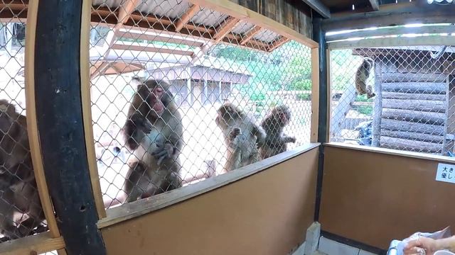 嫁と行くと予算が達成しない車中泊の旅・・【キャンピングカー】