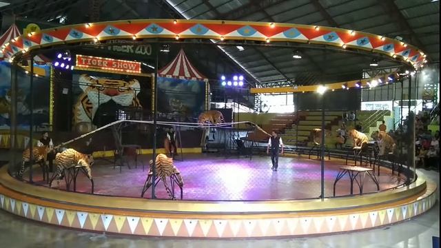 Отпуск в Таиланде/Тигровый зоопарк Сирача Tiger Zoo/Шоу слонов, тигров, крокодилов/#таиланд#чонбури