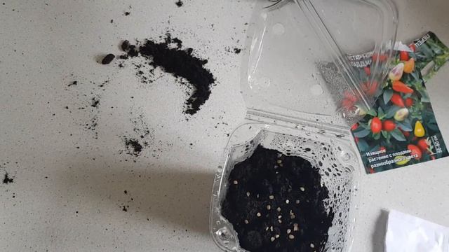 Сажаем семена перца, огонек. смотреть онлайн