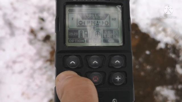 XP DEUS 2. 5 копеек СССР на 45см