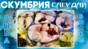 Скумбрия Сагудай за 4 часа!