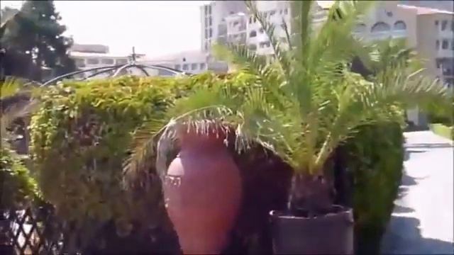 Отдых в Болгарии! Недвижимость у моря недорого