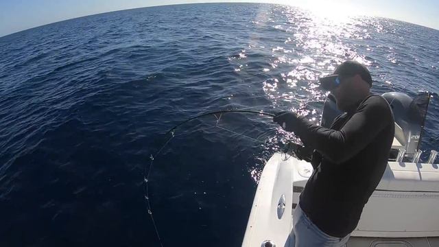 Rough Trail Aomasa Calls Them On The Surface! смотреть онлайн