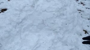 Строим иглу/как построить иглу/домик из снега