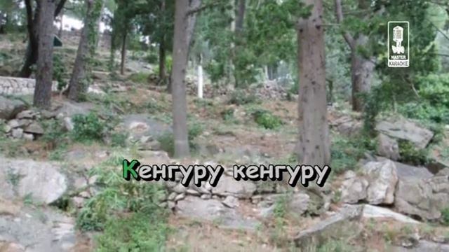 04 Chto takoe kenguru смотреть онлайн