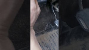 Ваз 2106 прикуриватель жалғау. Ваз 2106 прикуриватель не работает./Автоэлектрик Қазақстан