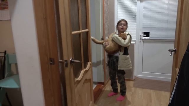 Все работают в саду. Дарина спасает кота. . 25.10.22. смотреть онлайн