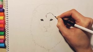 как нарисовать льва | рисунок льва