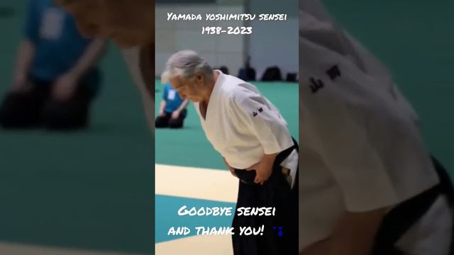 Goodbye Yamada Yoshimitsu Sensei (1938-2023)