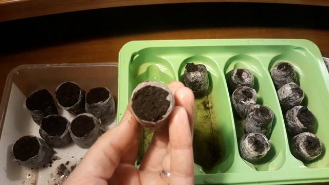 ПОСЕВ ВЫСОКОРОСЛОЙ ЭУСТОМЫ?/18ДЕКАБРЯ 2020/ПРОФ.СЕМЕНА И ТОРФ.ТАБЛЕТКИ? смотреть онлайн