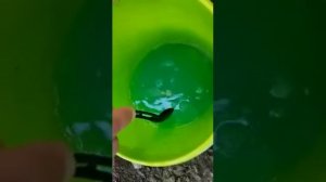 БИ58 и удобрения, вносим однавремено.
