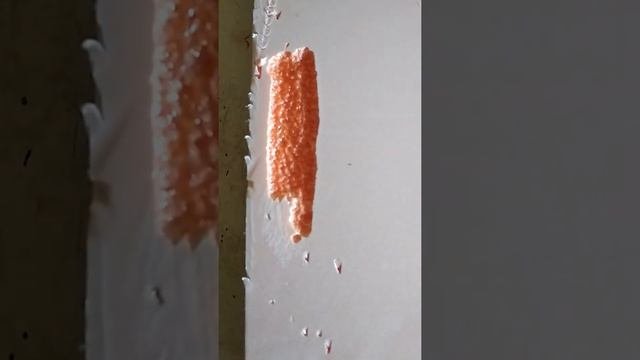 Полиэфирная смола  Пенопласт и монтажная пена  Тесты