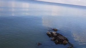 Ейск?Рыбалка на Азовском море. Лиман. 14 июля)) Ловим тарань.