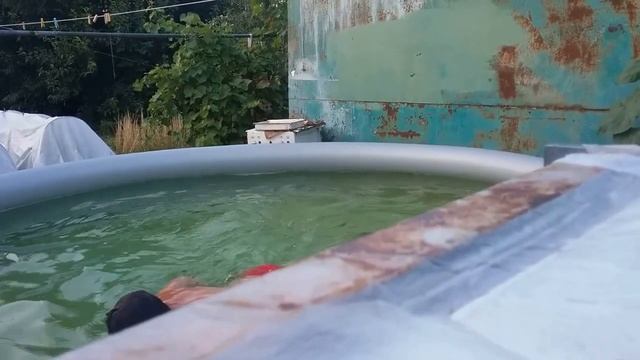 Купание в бассейне (27.07.2016). ч.2 смотреть онлайн