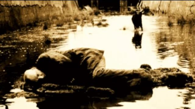 Гражданская Оборона " Собаки " смотреть онлайн