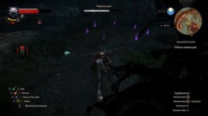 Мышиная башня, хорошая концовка. Ведьмак 3: Дикая Охота | Witcher 3: Wild hunt, tower of mice.