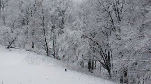 Зимняя сказка в апреле