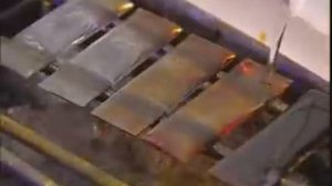 Грамм положительные и грамм отрицательные бактерии