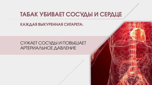 Сердце