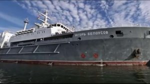 Морская душа