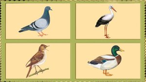 Елена Перекрёстова, воспитатель Школы № 1194. Перелётные и зимующие птицы