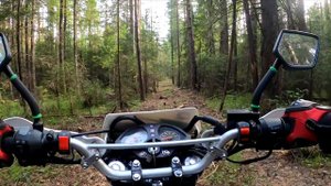 RACER PANTHER 250 // Прокатился по лесу // Проба 4К