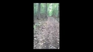 Дастер на цепях