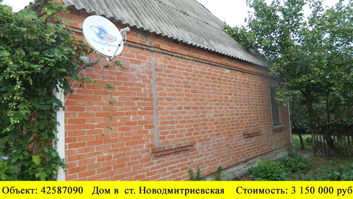 Новодмитриевская краснодарский край. Глава станицы новодмитриевской. Ст новодмитриевская северский район. Станица новодмитриевская северский краснодарский край. Станица новодмитриевская краснодарского края.