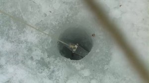 Крепление палатки на льду