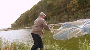 кастинговая сеть ловим пеленгаса и отпускаем