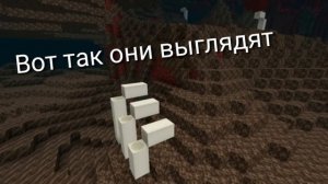 Что добавили в Minecraft beta (Minecraft Bedrock edition 1.16.0.51)