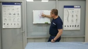 Боль в спине. Часть первая. Подвздошно-поясничная мышца. Квадратная мышца поясницы.