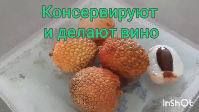 удивительно полезное личи. смотреть онлайн