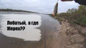 Когда упорство вознаграждается. Очередной выезд за ЖЕРЕХОМ (2021)