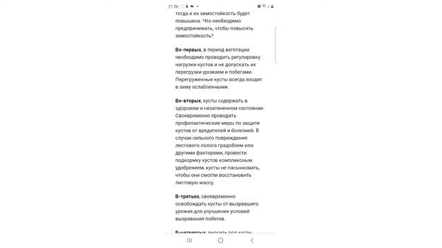 Зимостойкость. Морозостойкость винограда