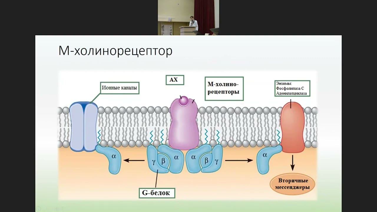 "Вельтищевские пятницы"