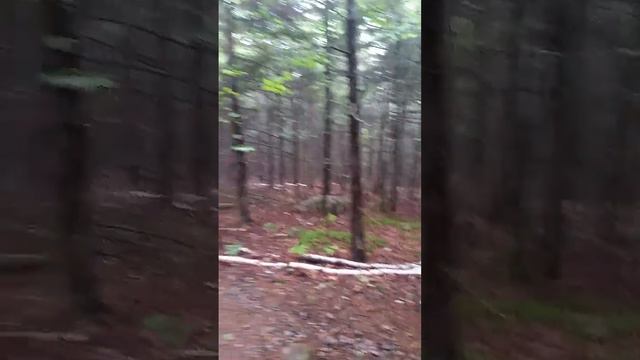 Maine-Acadia National Park- The beginning of our hike to BUBBLE ROCK