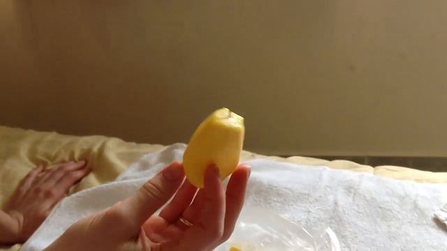 Проба плодов хлебного дерева смотреть онлайн