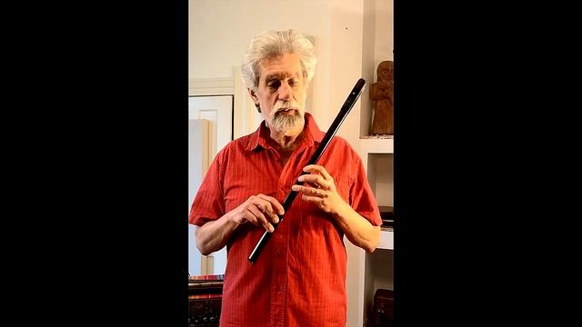 AN EASY TO PLAY LOW WHISTLE?! Introducing the Carbony Close Finger Spacing Low D Whistle! REVIEW смотреть онлайн